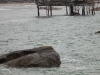dscf0366